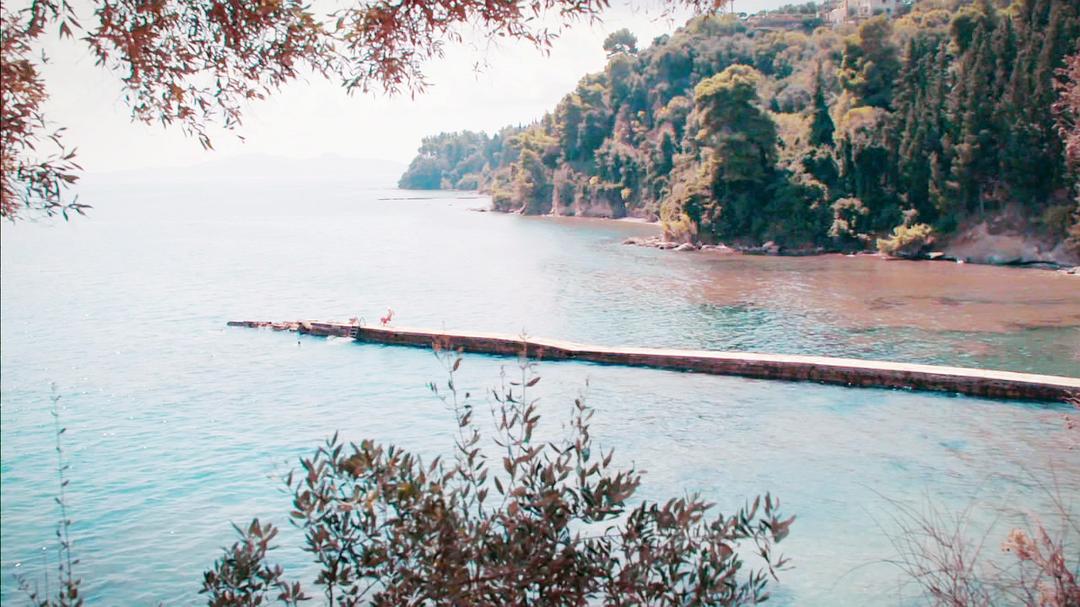 《德雷尔一家第四季》剧照第55张图片