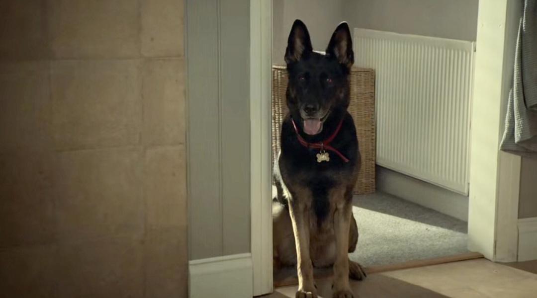 《后半生第一季》剧照第21张图片