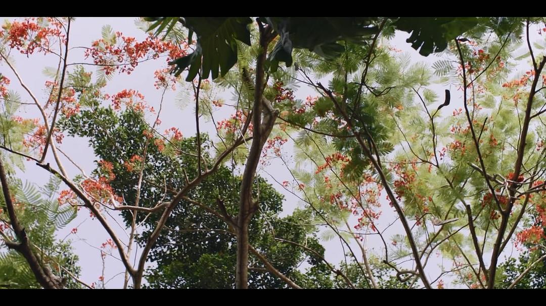 《长歌》海报第17张图片