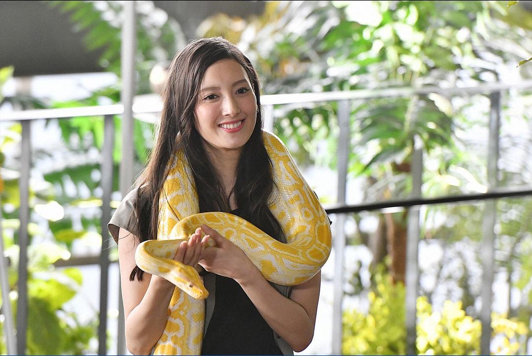 《胜券在握》剧照