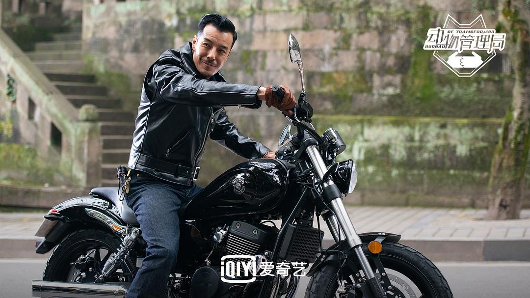 《动物管理局》海报第46张图片