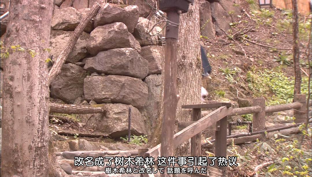 《安宁之乡》剧照第29张图片