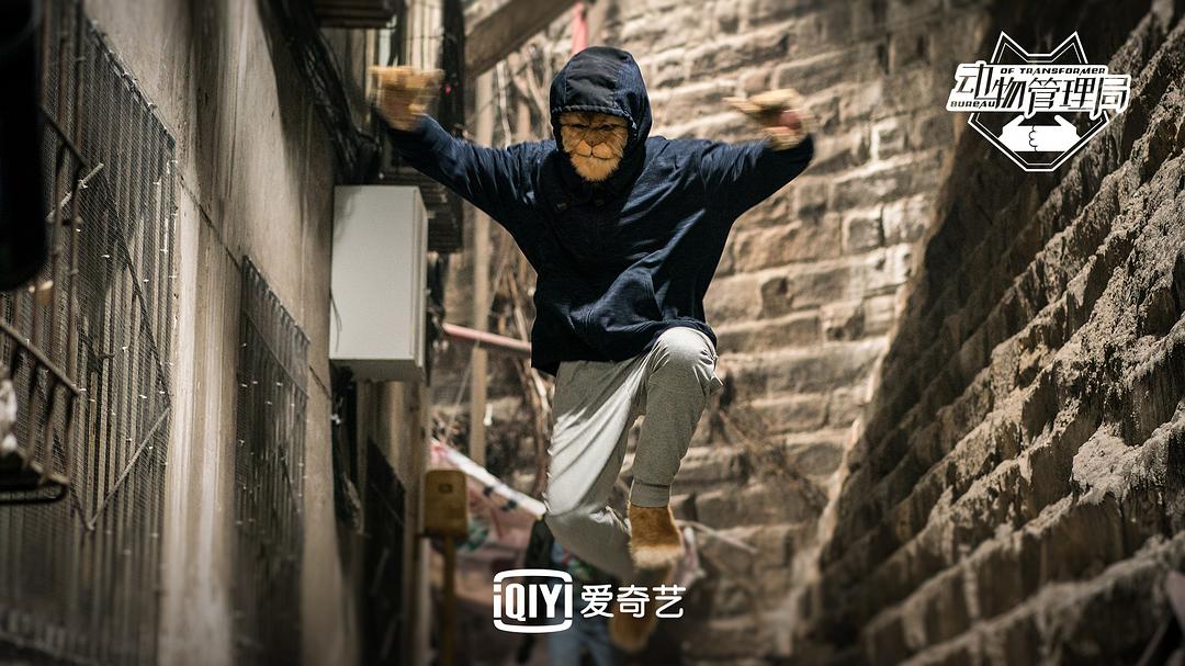 《动物管理局》海报第23张图片