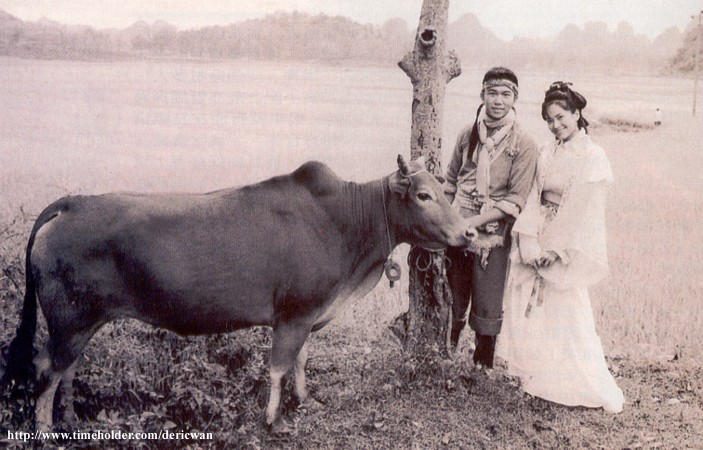 《牛郎织女》海报第47张图片