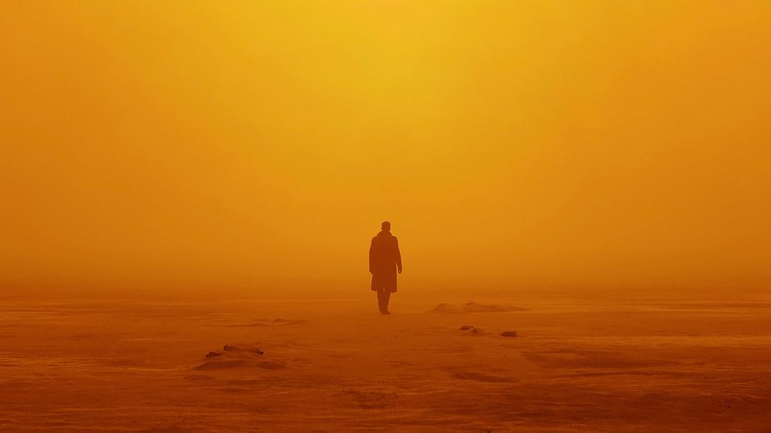 《银翼杀手2049》剧照第2张图片