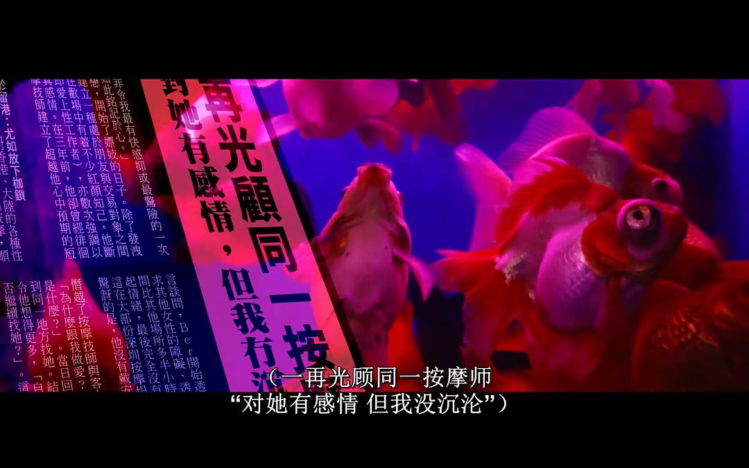 《向西闻记》剧照第25张图片