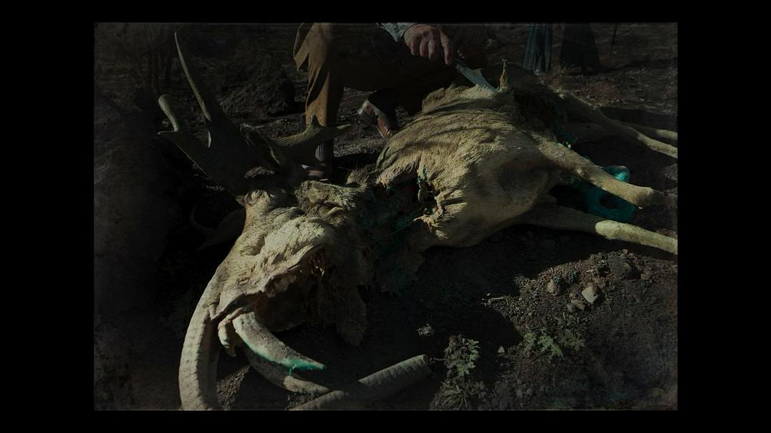 《大群第三季》海报第45张图片