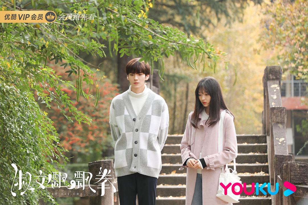 《淑女飘飘拳》剧照