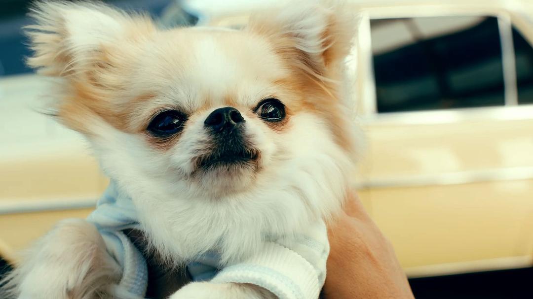 《人生I字路》剧照第5张图片