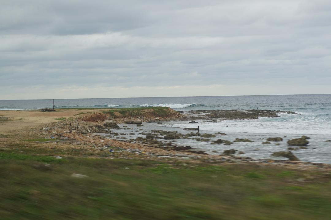 《古巴大宝荐》剧照第21张图片