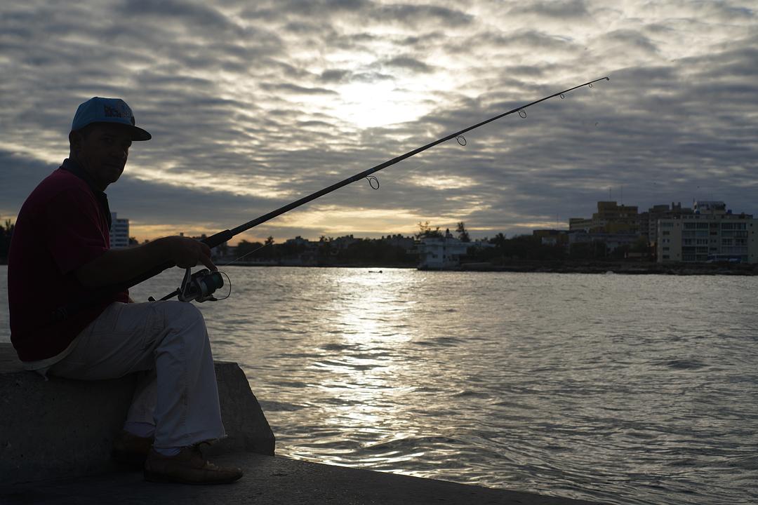 《古巴大宝荐》剧照第5张图片