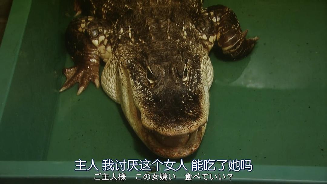 《轮到你了番外篇房门之内》海报第46张图片