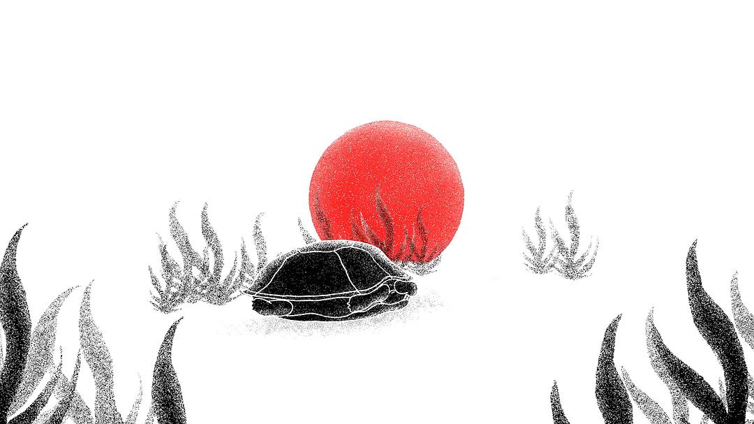 《头脑解密》剧照