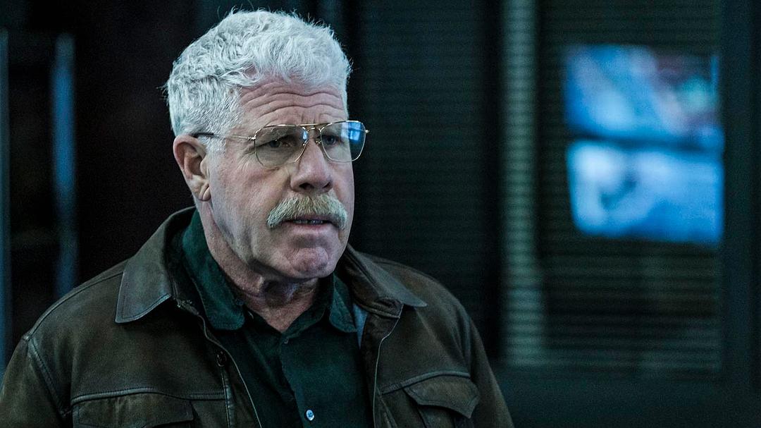 《真相捕捉第一季》海报第22张图片