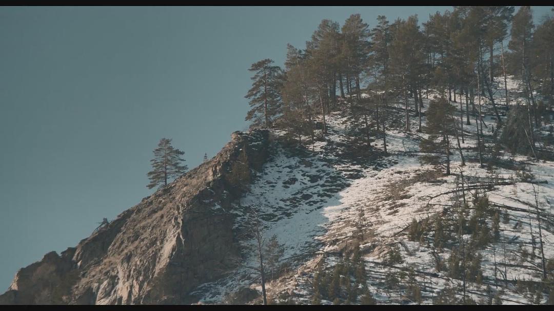 《在西伯利亚森林中》剧照第38张图片