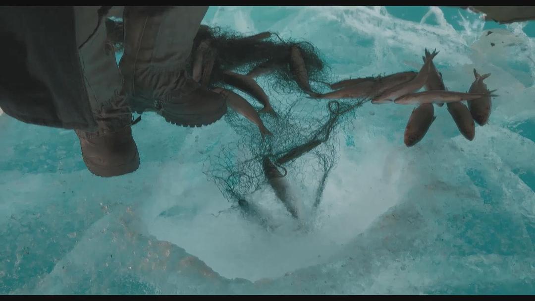 《在西伯利亚森林中》剧照第36张图片