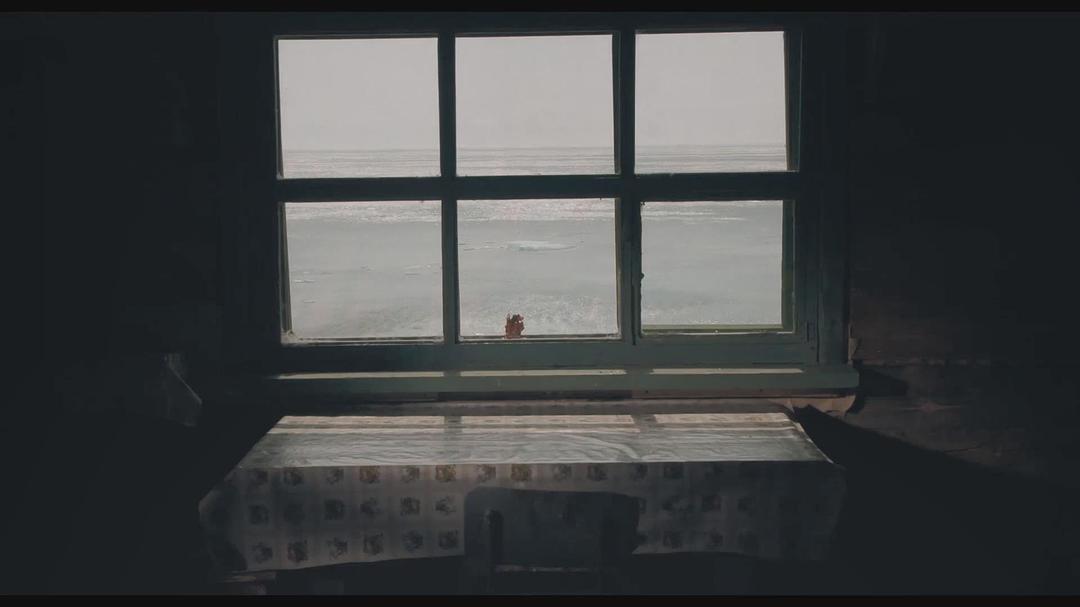 《在西伯利亚森林中》剧照第21张图片