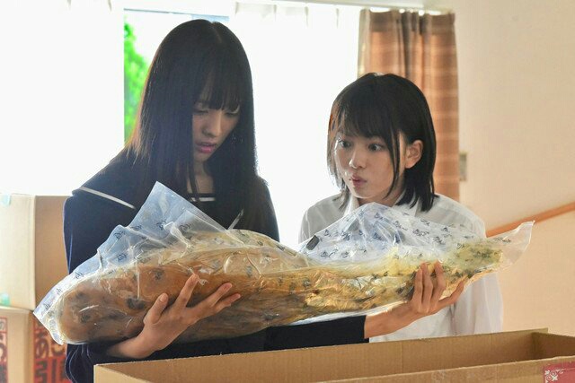 《新手姐妹的双人餐桌》剧照