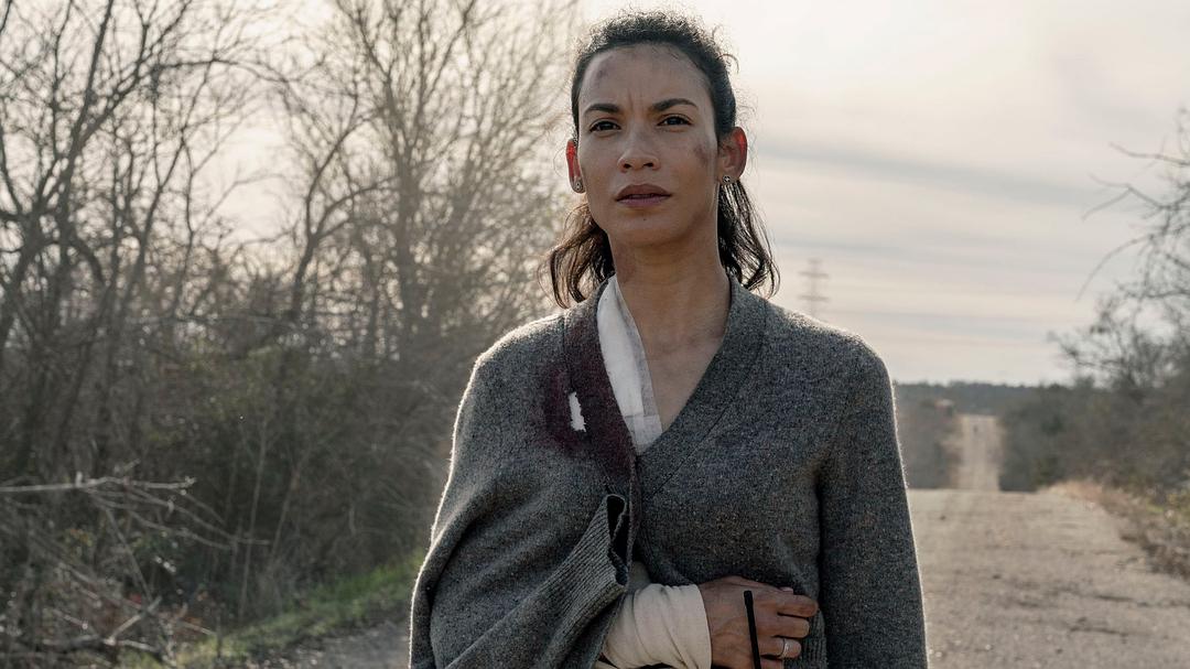 《行尸之惧第五季》剧照第24张图片