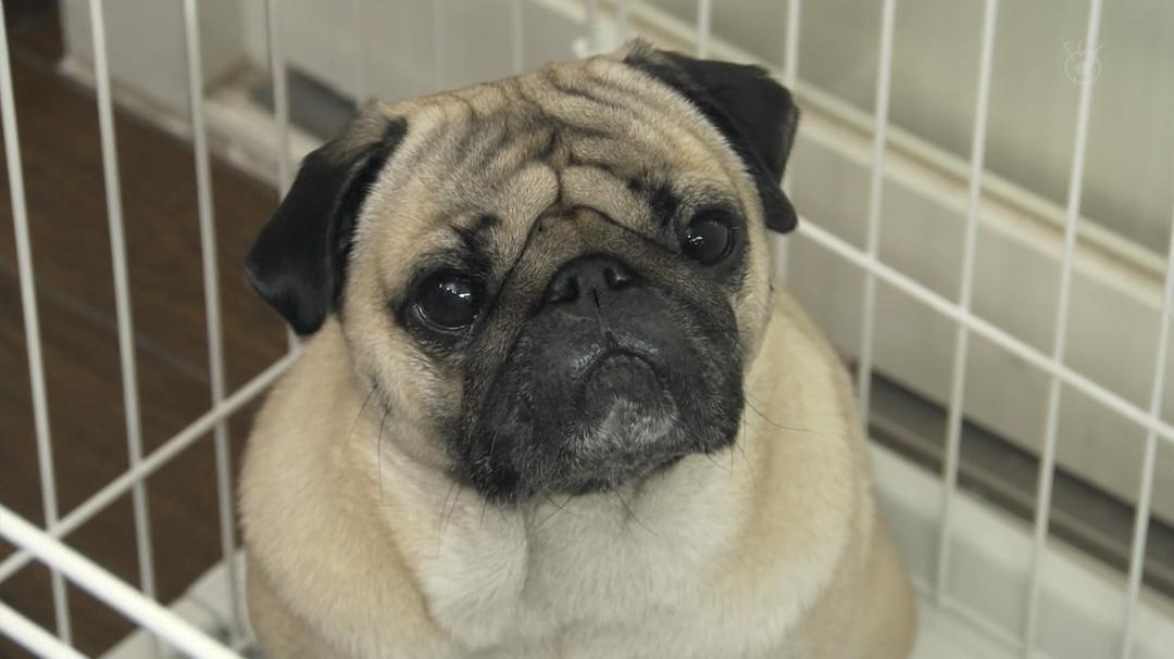 《还是不能结婚的男人》海报第57张图片