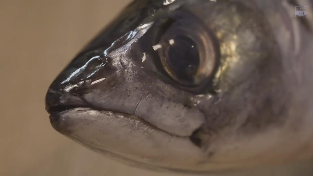 《不伦食堂2》海报第39张图片