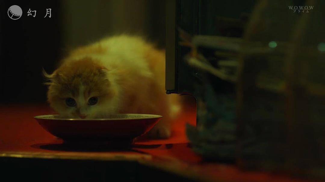 《铁证悬案：真实之门第二季》剧照