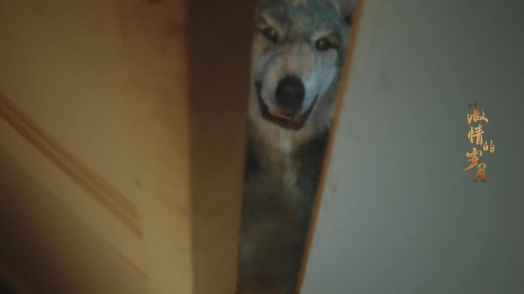 《激情的岁月》剧照第33张图片