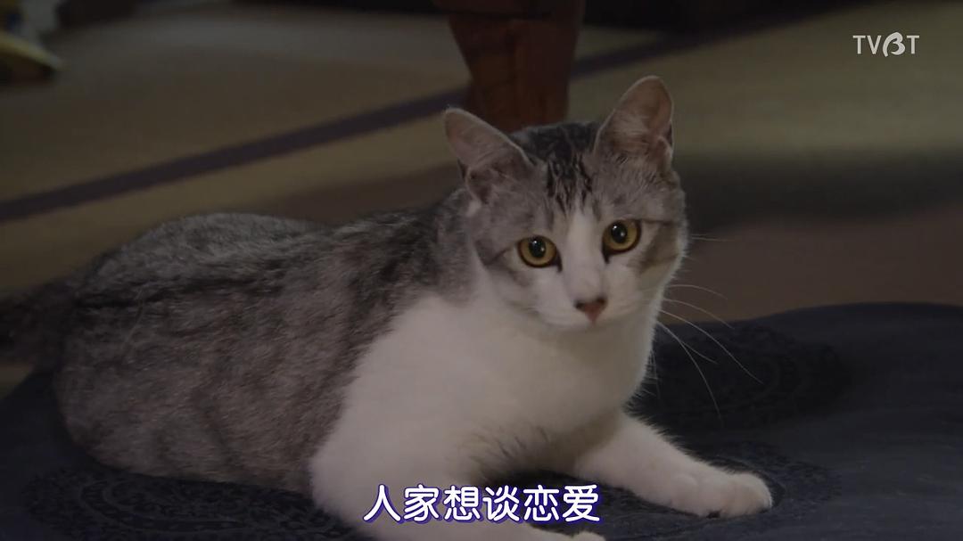 《临床犯罪学者火村英生的推理2019SP》海报第39张图片