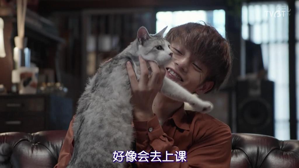 《临床犯罪学者火村英生的推理2019SP》海报第33张图片