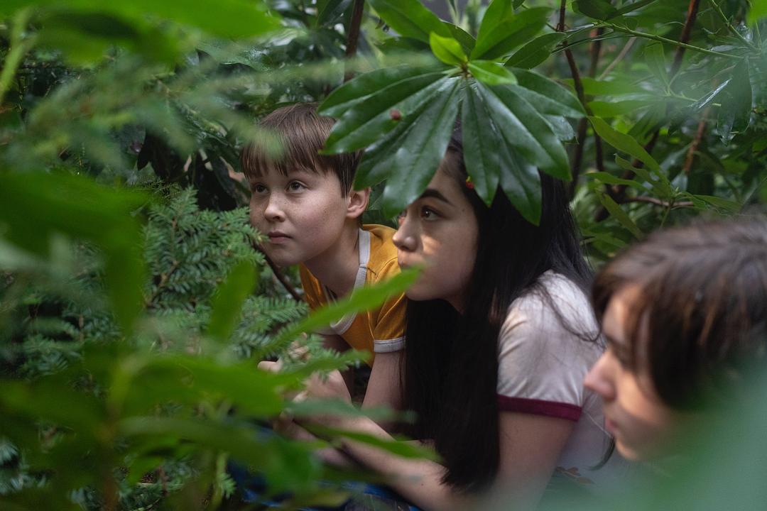 《都柏林凶案》海报第39张图片