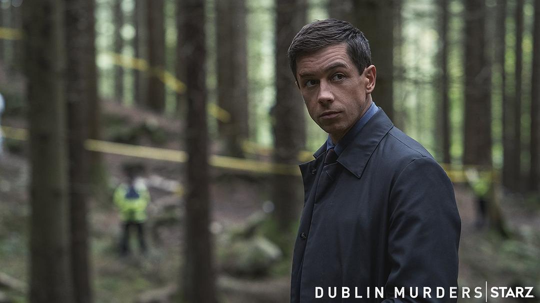 《都柏林凶案》海报第34张图片