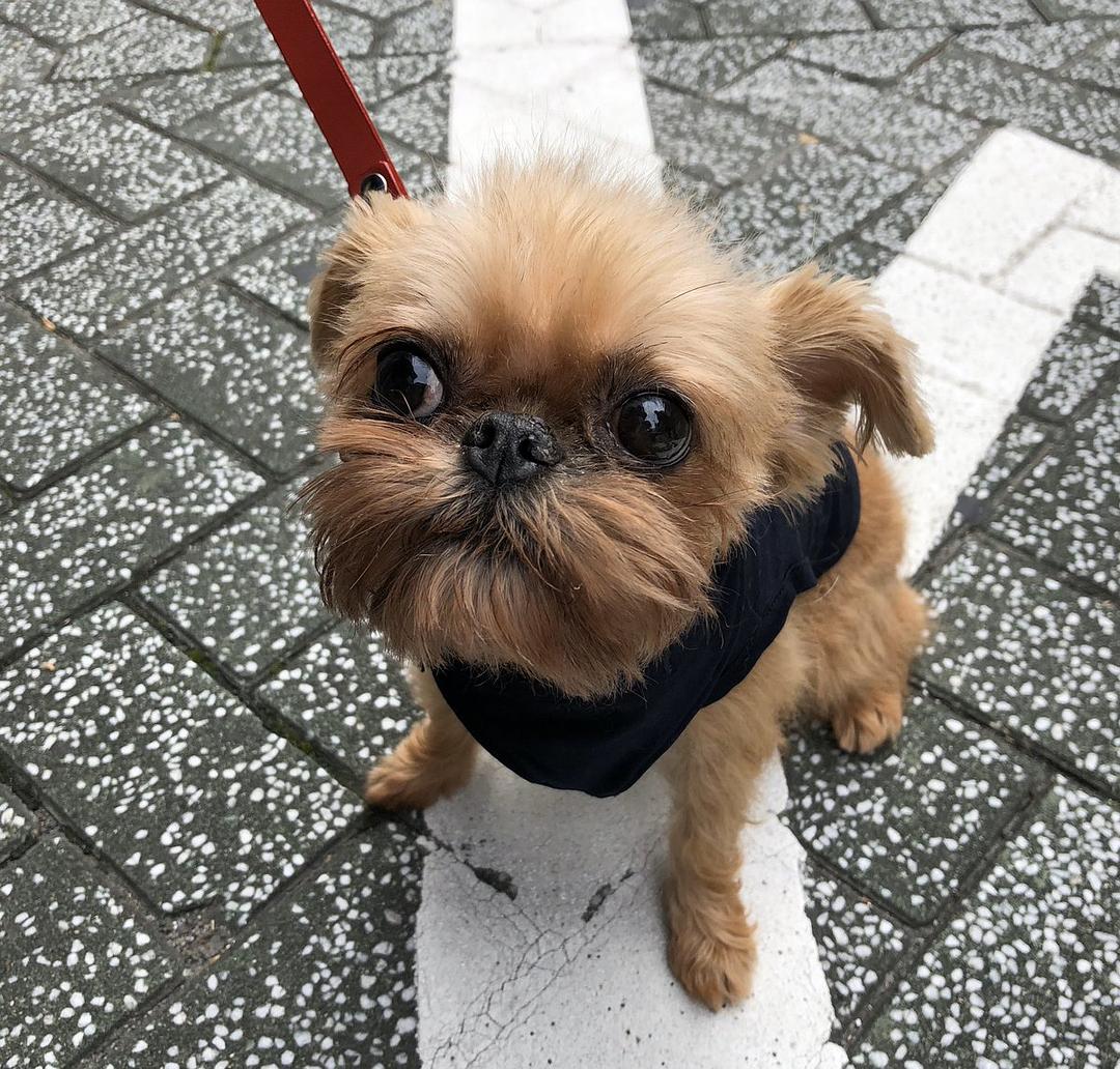 《我的事说来话长》剧照