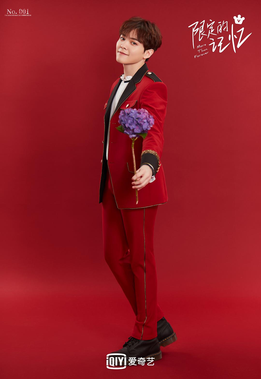 《限定的记忆》海报第6张图片