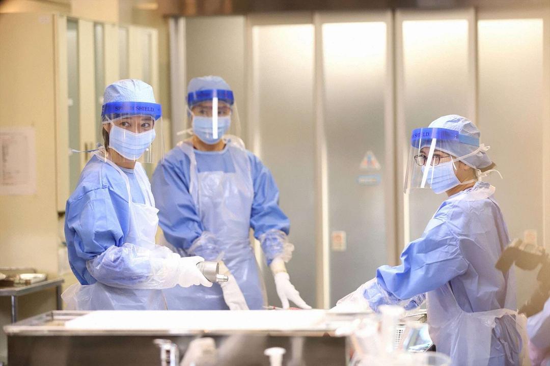 《法医朝颜》剧照第26张图片