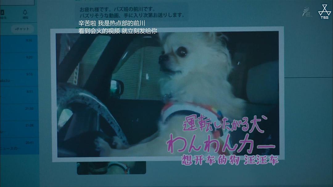 《扭曲的波纹》剧照第37张图片