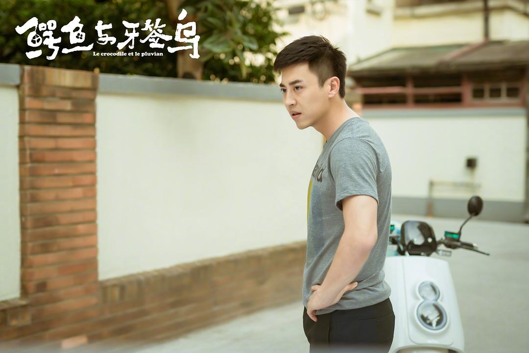 《鳄鱼与牙签鸟》海报