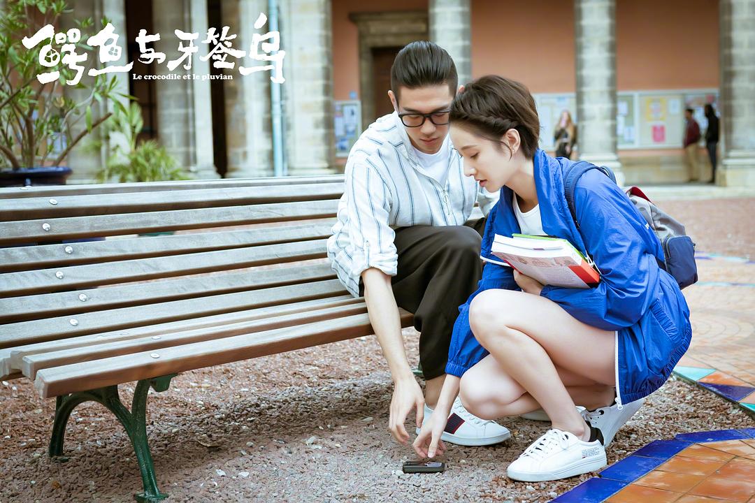 《鳄鱼与牙签鸟》海报