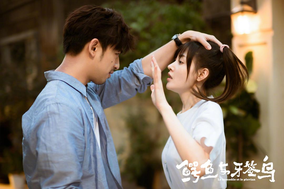 《鳄鱼与牙签鸟》海报