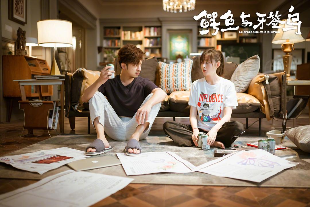 《鳄鱼与牙签鸟》海报