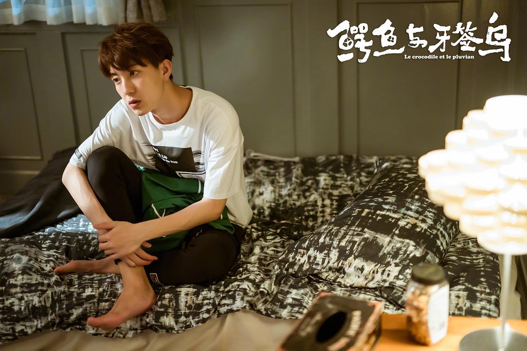 《鳄鱼与牙签鸟》海报