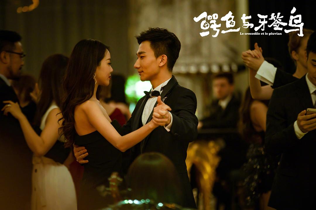 《鳄鱼与牙签鸟》海报