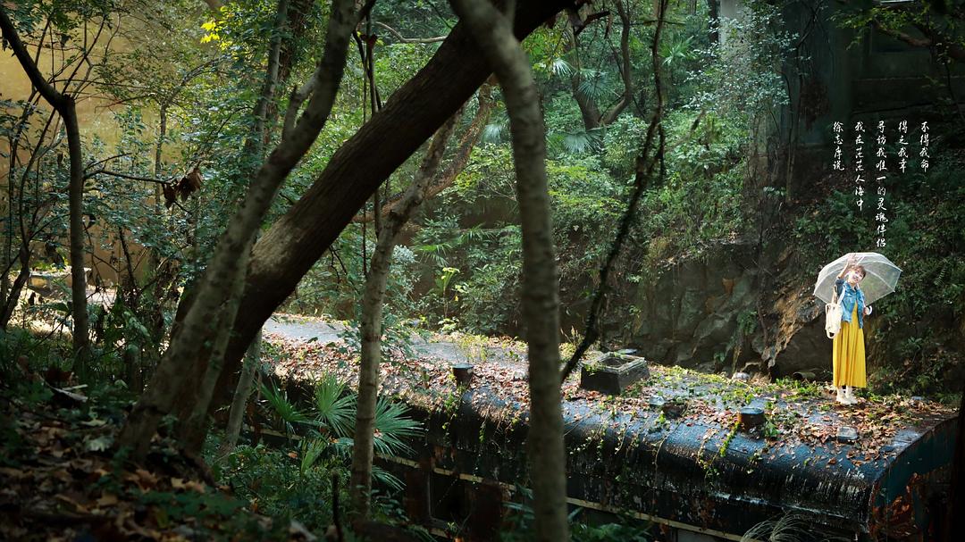 《彩虹的重力》剧照第22张图片