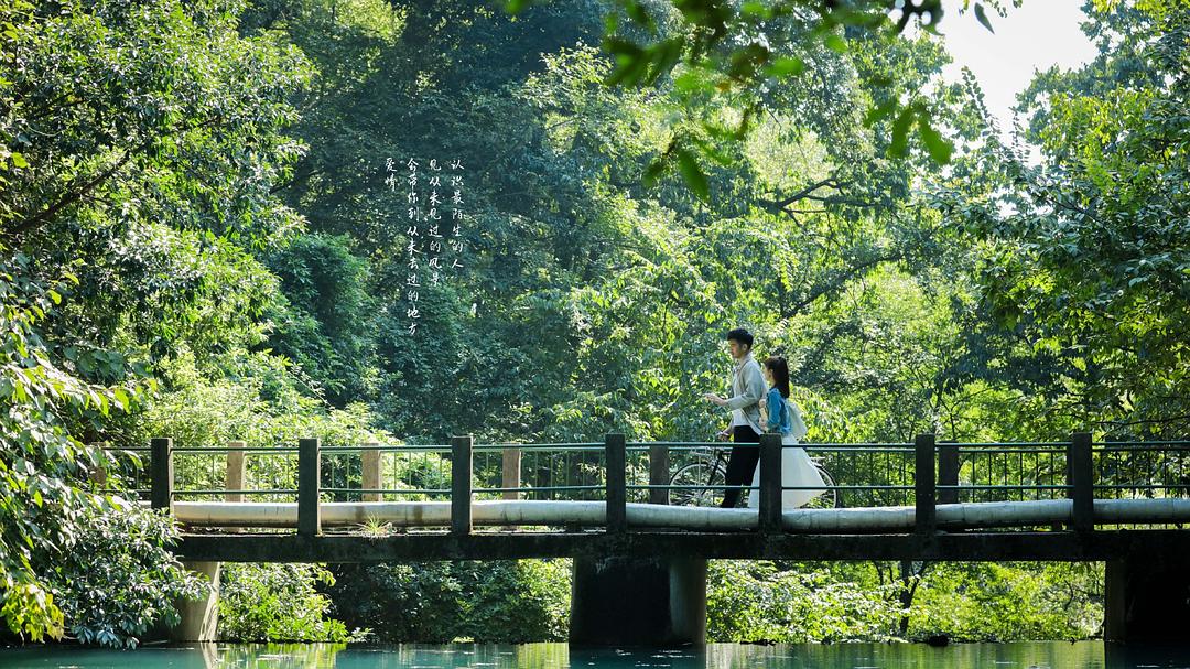 《彩虹的重力》剧照