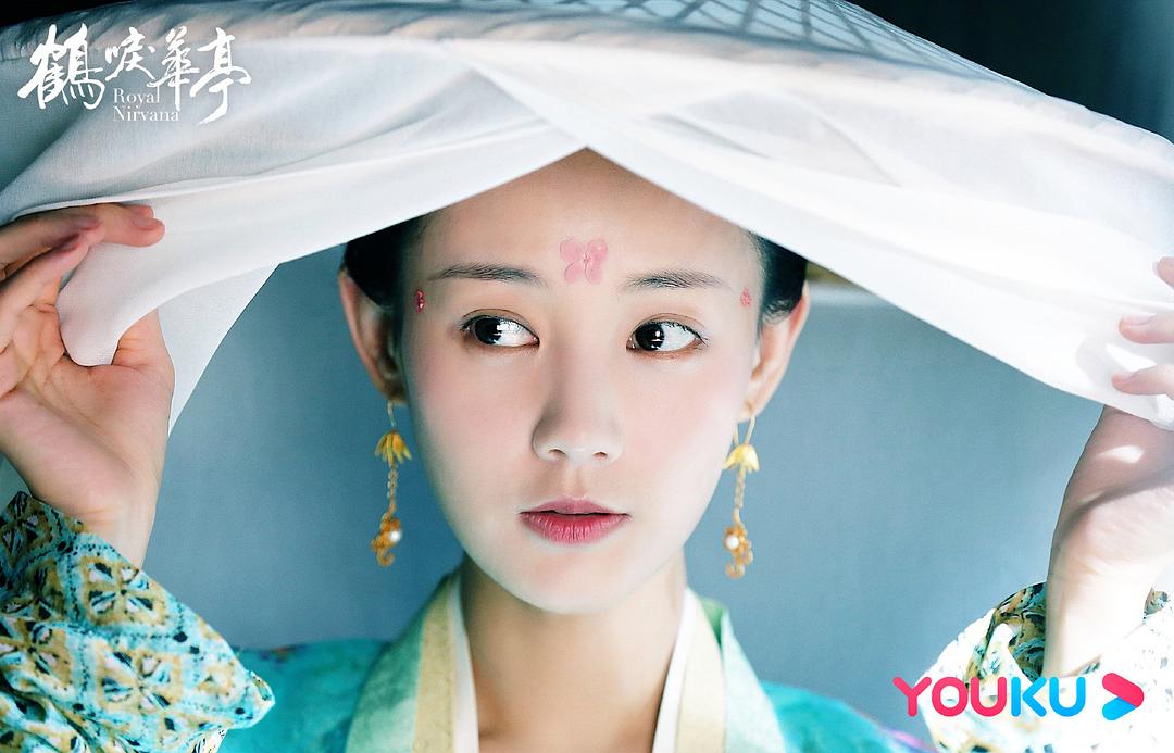 《鹤唳华亭》剧照第14张图片