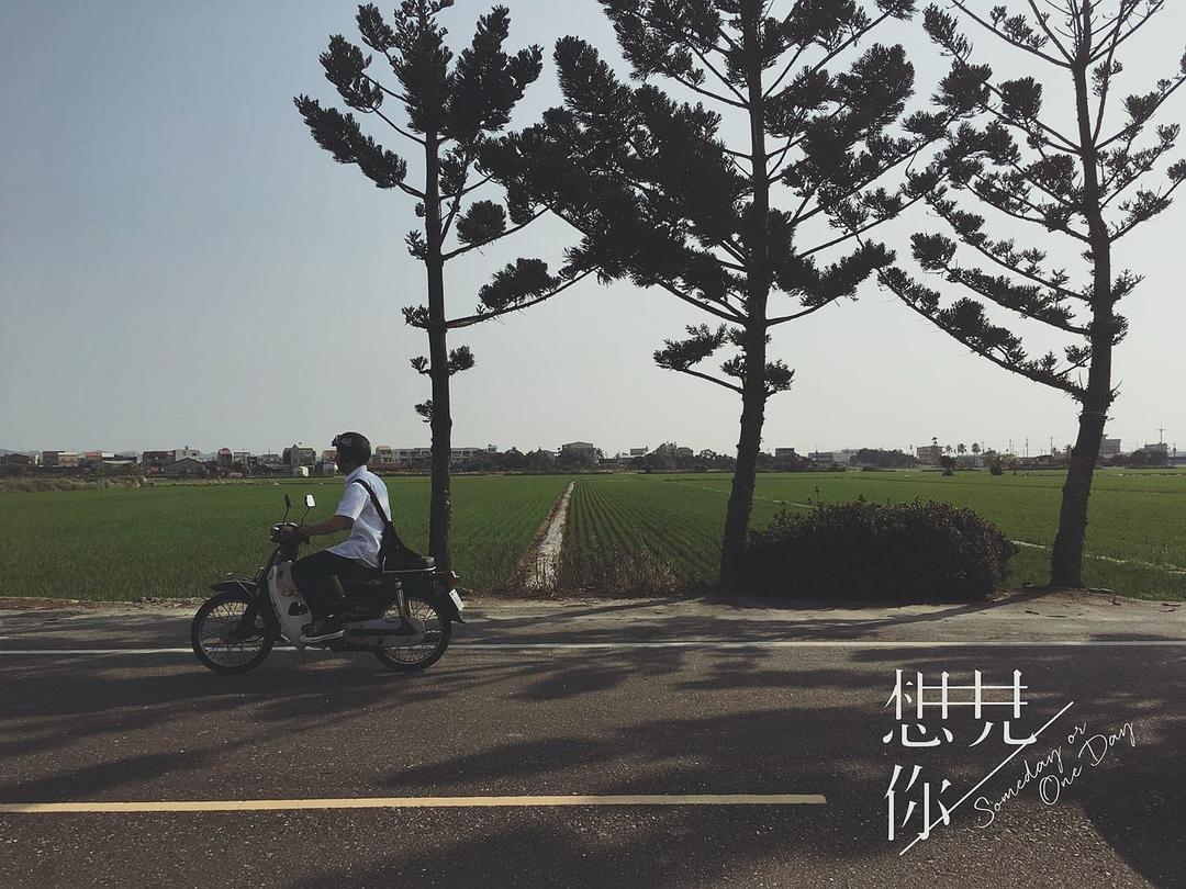 《想见你》海报第56张图片