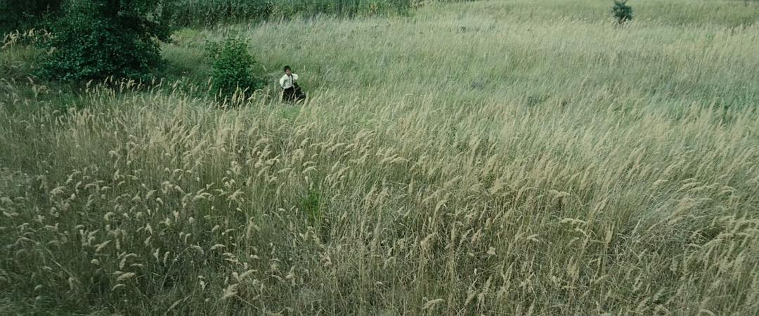 《流浪的尤莱克》海报第33张图片