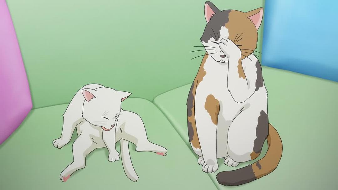 《青春期猪头少年不做怀梦少女的梦》剧照第54张图片