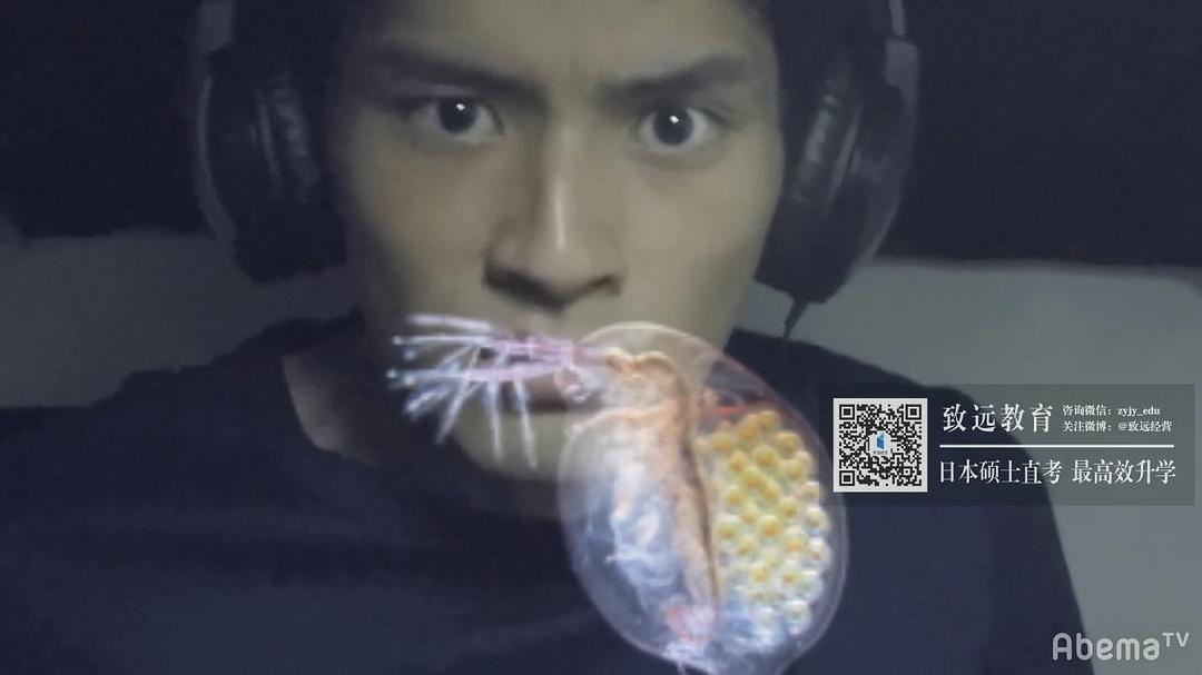 《如果被关注那就完了》剧照第53张图片