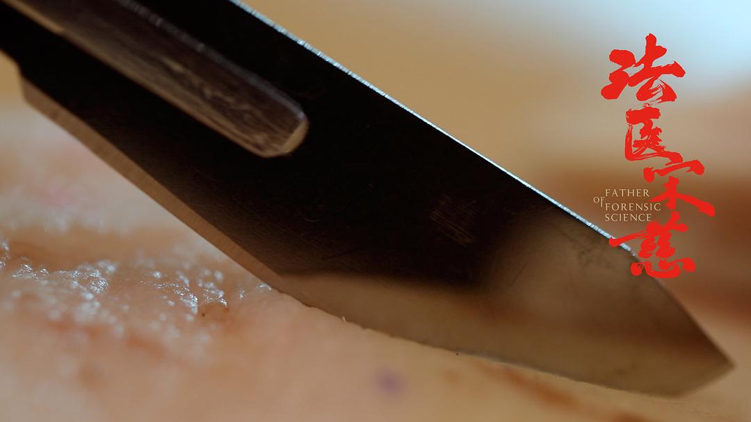 《法医宋慈》剧照第34张图片