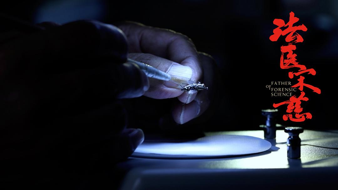 《法医宋慈》剧照第17张图片